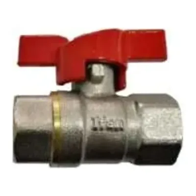Վինտիլ IFAN 1/2 FF (4530*)
